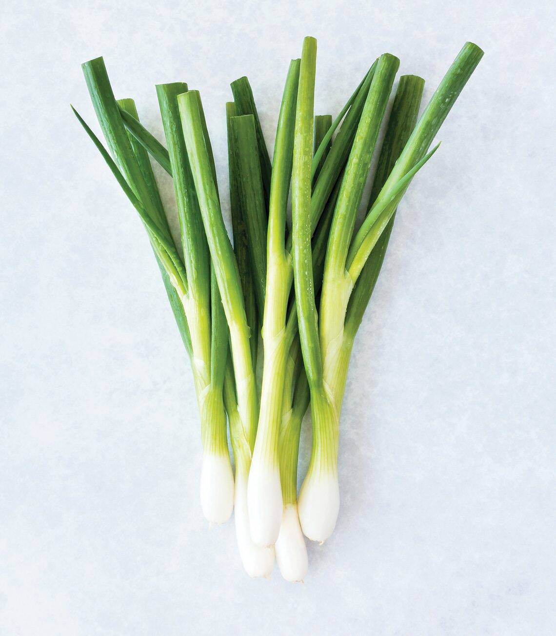 Alium GreenOnions