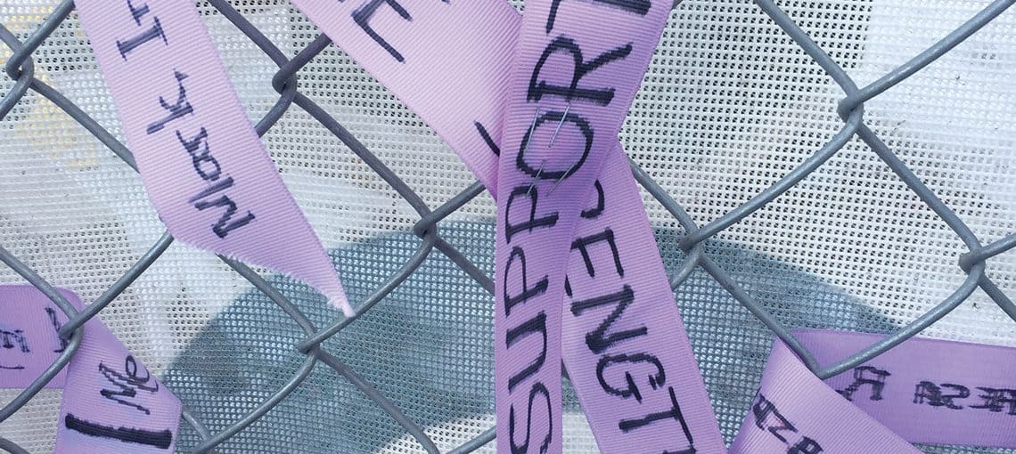 FrontLine RibbonFence feat