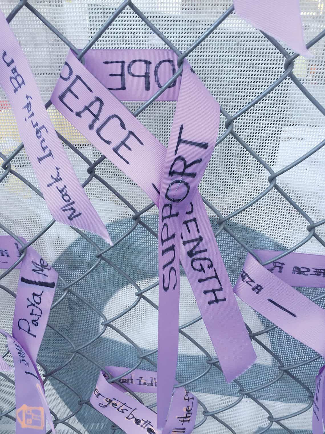 FrontLine RibbonFence