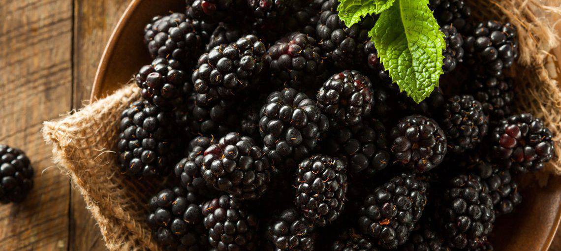 LEAP Berries