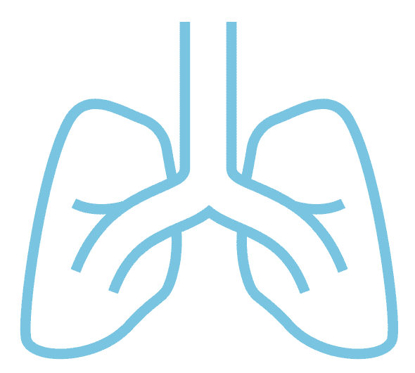 Blue icon of lungs.