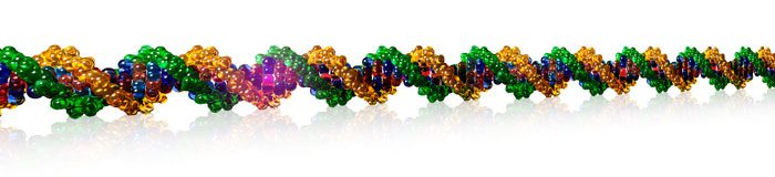 New DNA