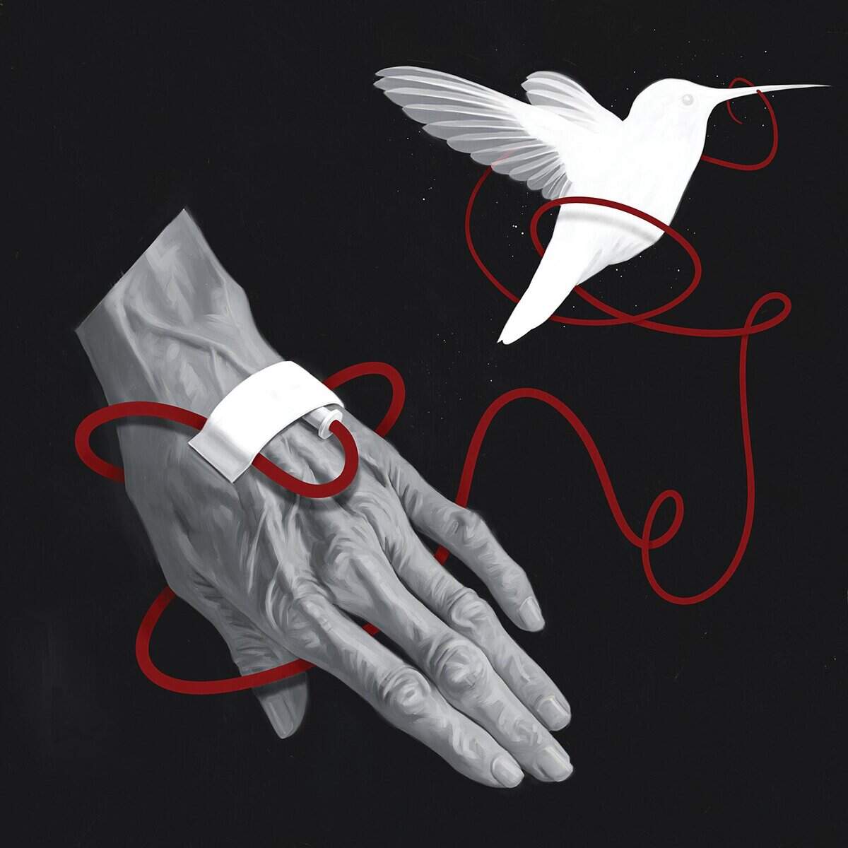 PalliativeCare2