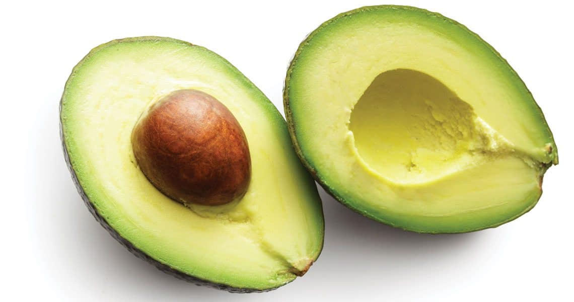 Web LeapSp19 Fats FoodFocus