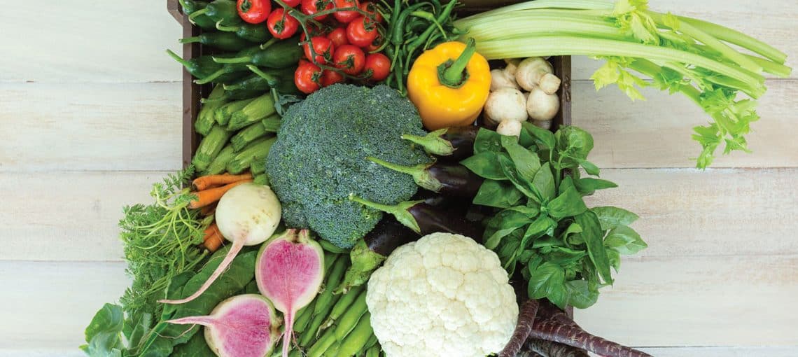Web LeapSp19 Feature FoodFocus