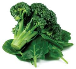 brocoli
