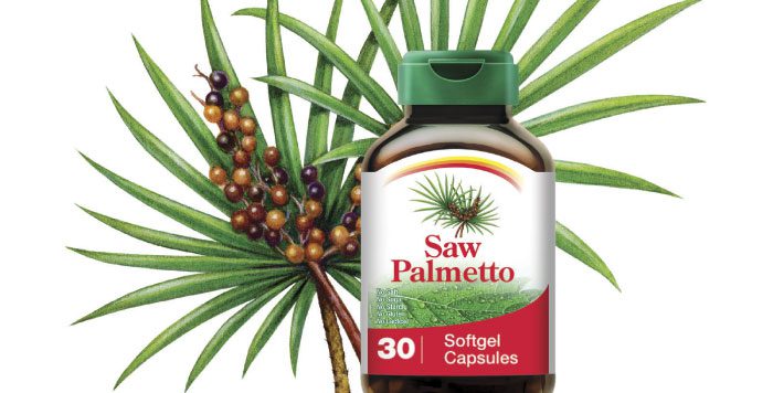palmetto