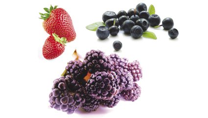 prevention21
